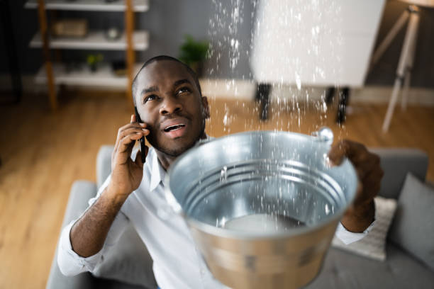 Best Ceiling water damage repair  in Eleele, HI