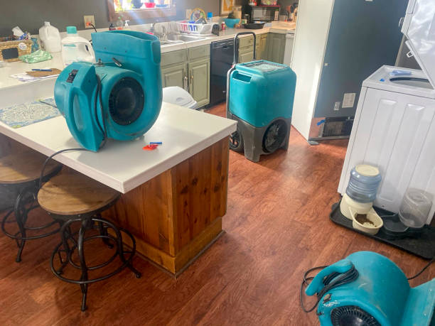 Best 24/7 water damage repair  in Eleele, HI