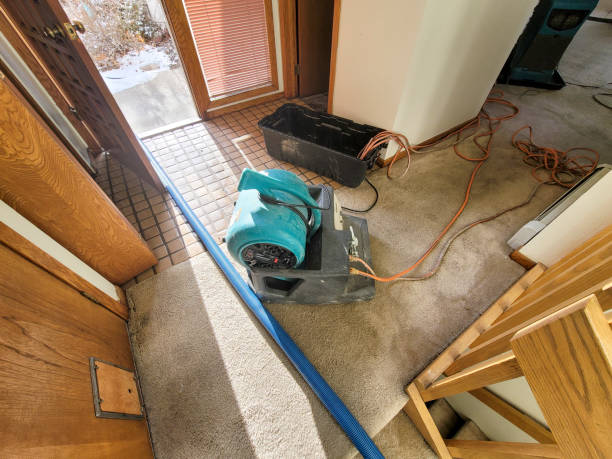 Water damage restoration mold remediation in Eleele, HI