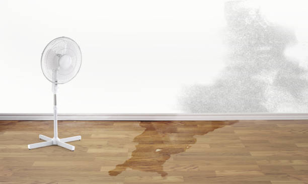Reliable Eleele, HI Water damage restoration Solutions