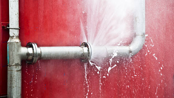Water damage restoration mold remediation in Eleele, HI